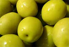 Photo of Green Olives