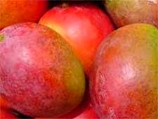 Photo of Mangoes